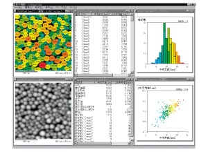 Particle Analysis Software | Shimadzu Latin America